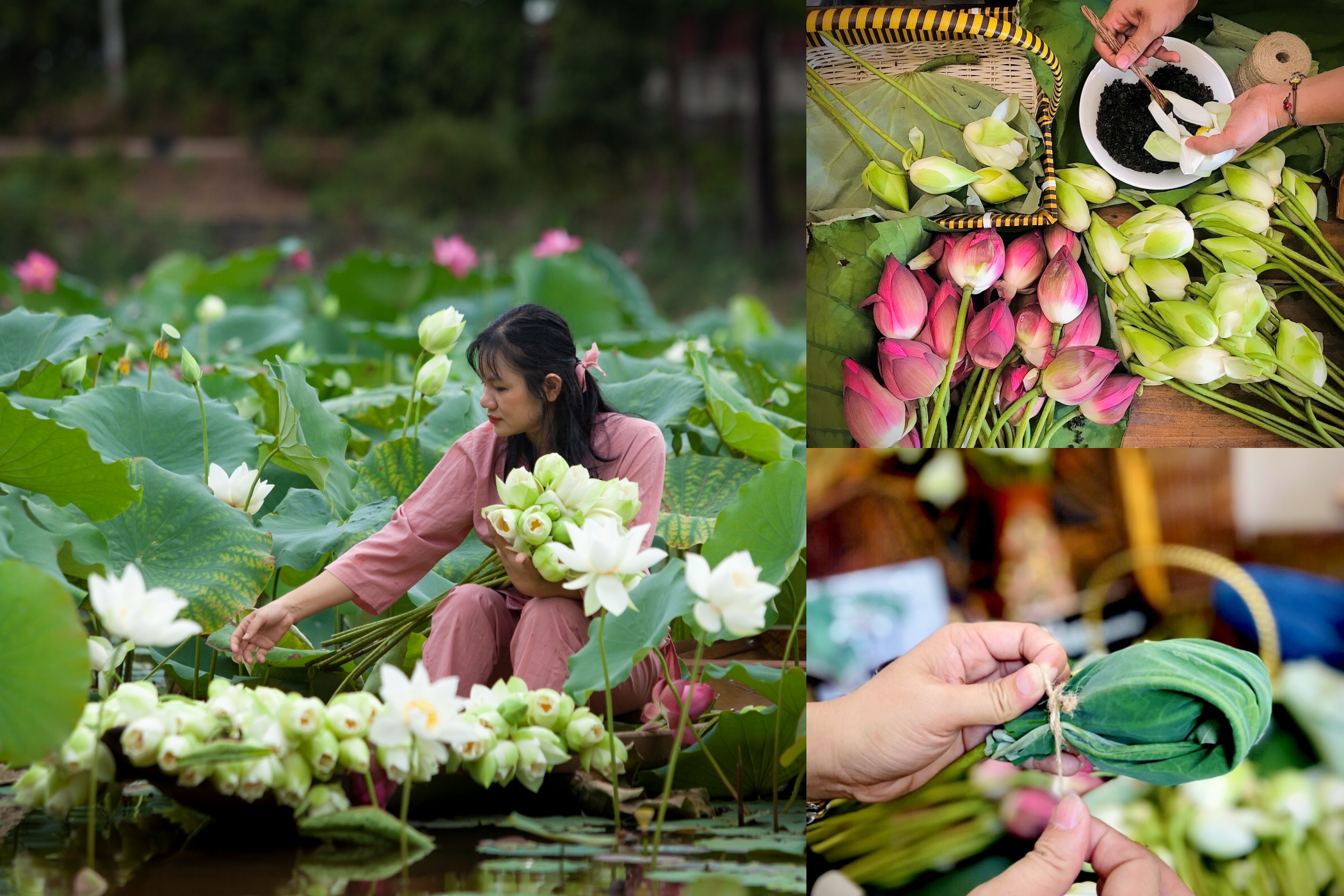 Delicate lotus tea combines green tea with floral essence