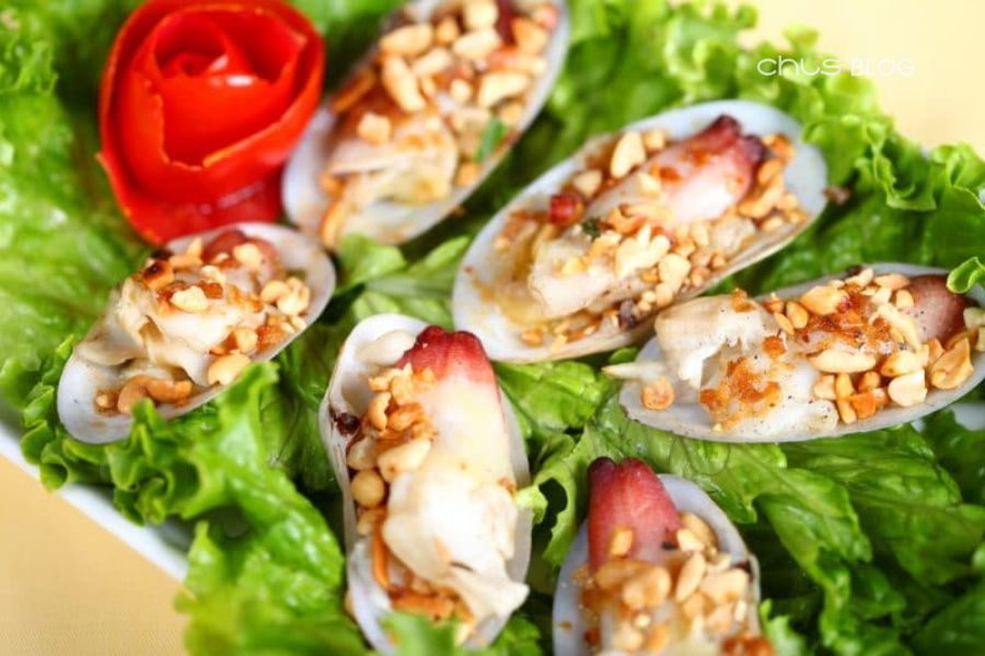Tu hài Cát Bà tươi ngon - Đặc sản biển 'vòi voi' được săn lùng làm quà biển