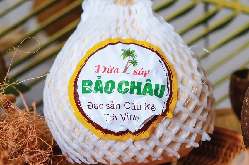 Image 08. Tra Vinh macapunococonut is a rare fruit that everyone finds fascinating
