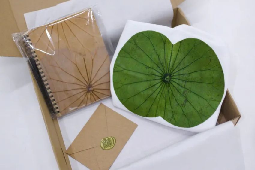 Graceful Speech gift box conveying pure beauty from lotus leaves