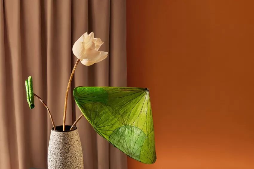 Gifts made from lotus are special and practical, anyone who gets one will be wowed.