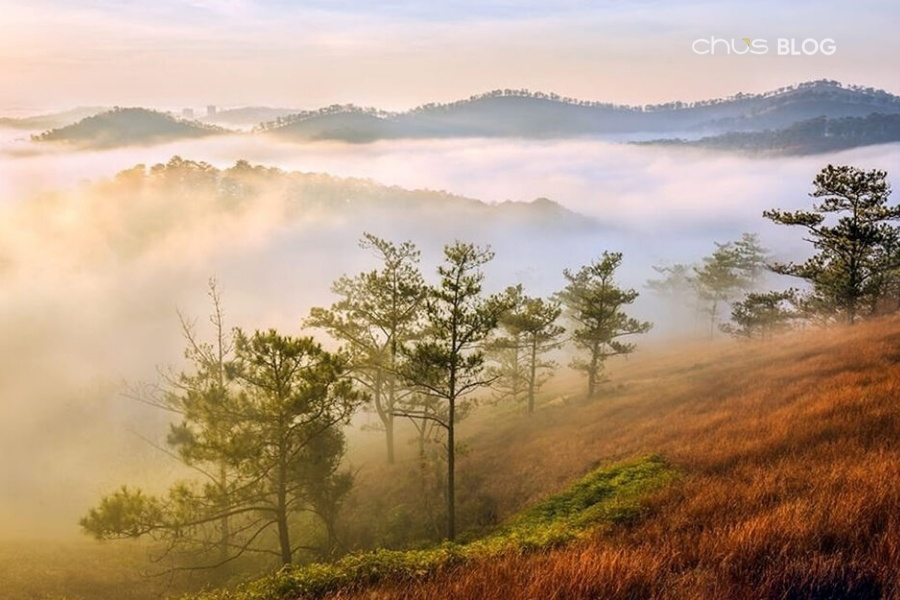 Morning mist blankets the hills of Dalat - a cool exploration paradise amid the summer heat.