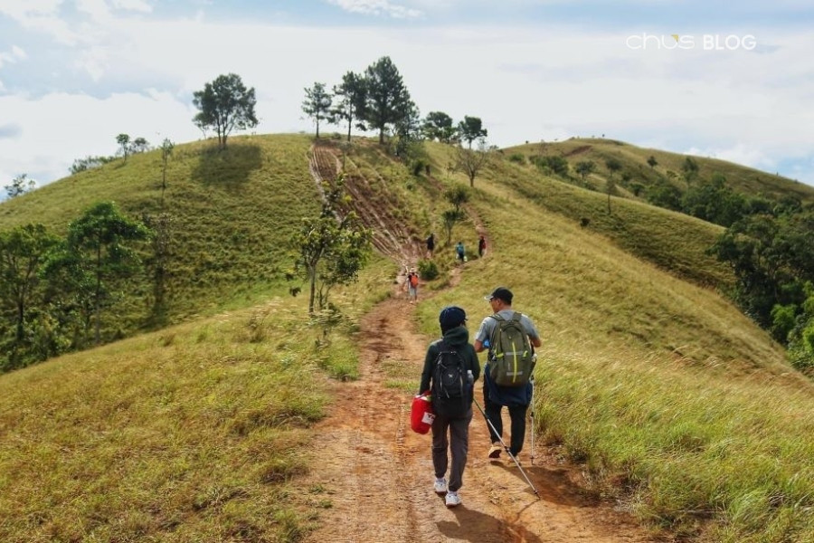 Conquering Ta Nang - Phan Dung trail, where adventurous souls find passion in every step of their experiential journey