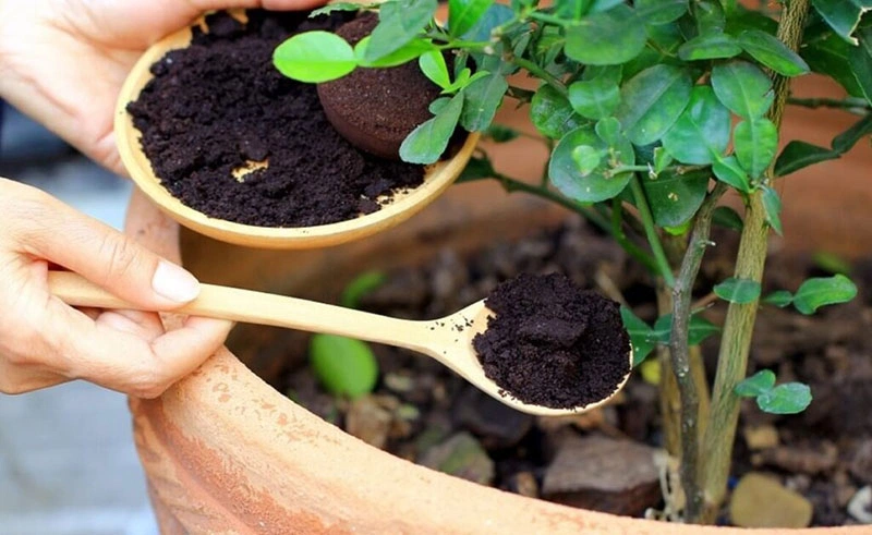 Cà phê, cà phê Việt Nam, bã cà phê, coffee-grounds, mẹo vặt cuộc sống, useful tips in life