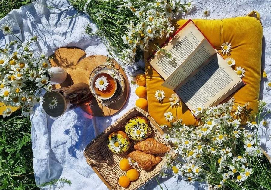 Đi picnic buổi sáng là một trải nghiệm độc đáo giúp ngày sinh nhật thêm đáng nhớ