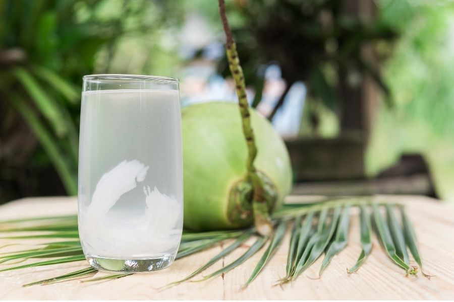7 Quả dừa tươi với nước trong veo bên trong giàu điện giải giúp cơ thể tràn đầy năng lượng