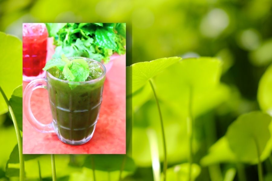 8 Ly sinh tố rau má xanh mát 