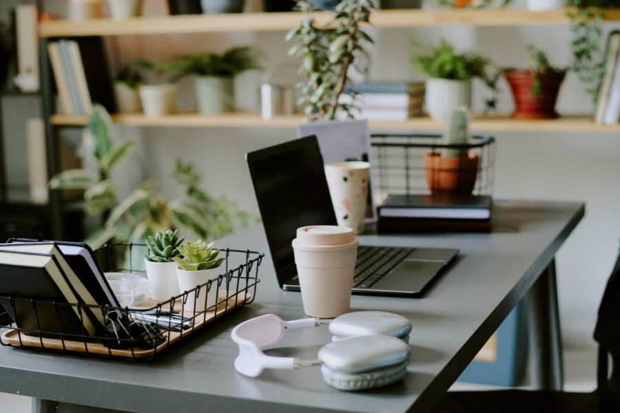 tránh ánh nắng trực tiếp