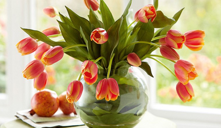 Bình cắm hoa tulip trong suốt sẽ tôn lên vẻ đẹp của hoa