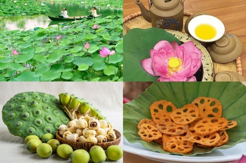 Lotus products as a Vietnamese gift with Southern elegance