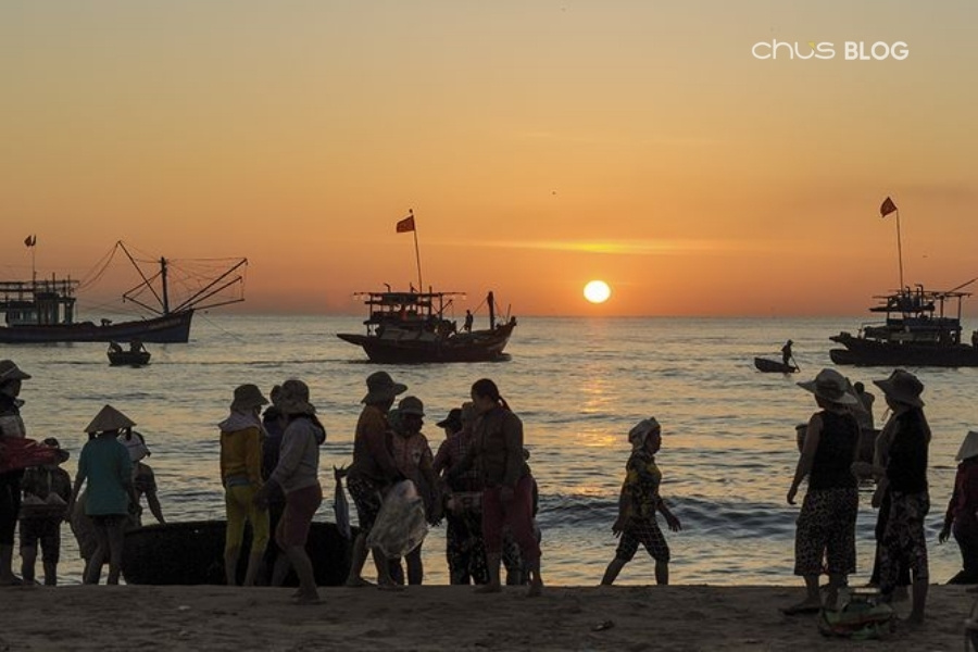 Chợ cá Tam Tiến nhộn nhịp từ 4h sáng - nơi tiểu thương tụ họp trao đổi hải sản tươi rói