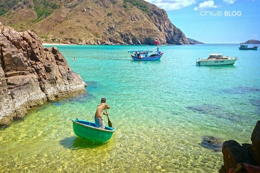 Khám phá rạn san hô đầy sắc màu tại Bãi Dứa - điểm du lịch ít người biết gần Kỳ Co