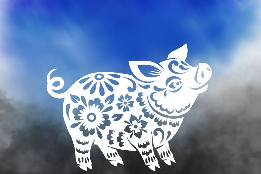 Image 13. Pig signs should choose black or navy blue to maintain positive spirits