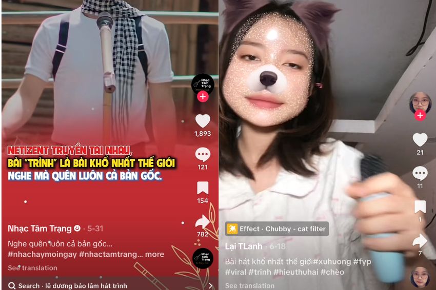 Ảnh 03. Trình khổ nhất thế giới
