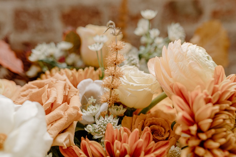 Green plants bring positive energy and life to living spaces