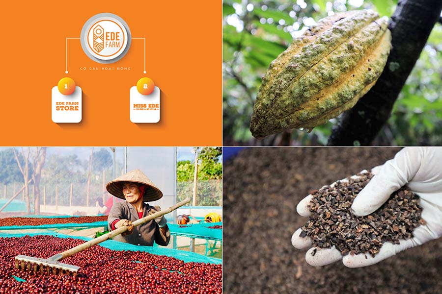 Cà phê Việt, cacao Việt, Vietnamese coffee, Vietnamese cocoa, agriculture, local products, nông nghiệp, nông nghiệp Việt Nam