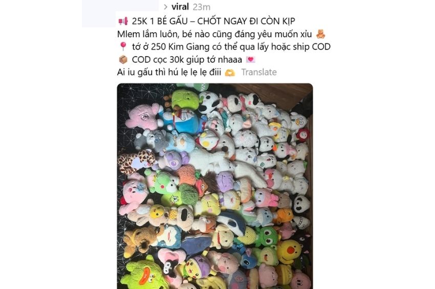Ảnh 07. Ngoại hình mlem