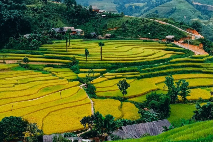 Nhà sàn người Tày - nơi ẩn chứa những câu chuyện về đặc sản vùng cao