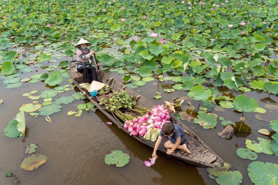 Đặc sản miền Nam cấu thành từ văn hóa và khí hậu, địa lý