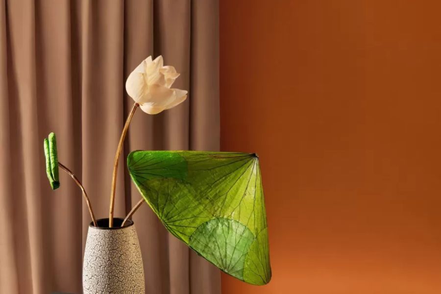 Ảnh 09. Nón lá sen mang đến một hơi thở thật cổ điển, hồn Việt đậm đà từng chi tiết
