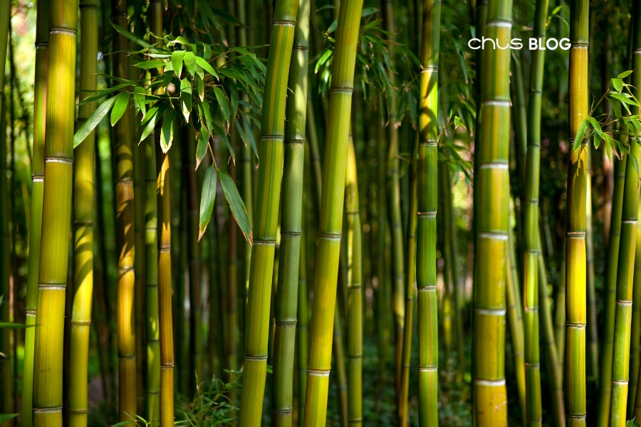 Bamboo souvenirs showcase sustainability and Vietnamese cultural values