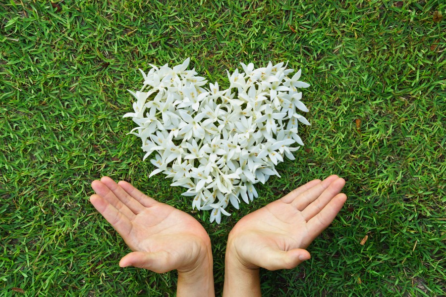 Birthday gifts for nature lovers should reflect authenticity and simplicity
