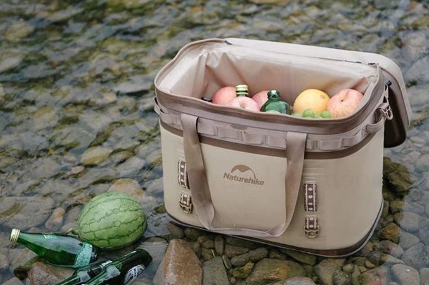 Image 07. Cooling bags help preserve fresh food during summer picnics (Image: Freeman.vn)