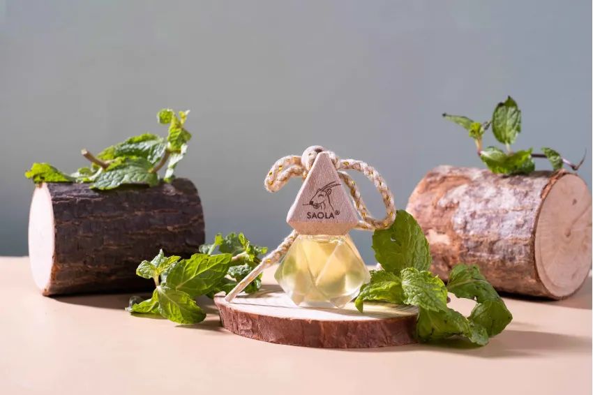 Image 10. Light mint essential oil diffusing to cool the spirit