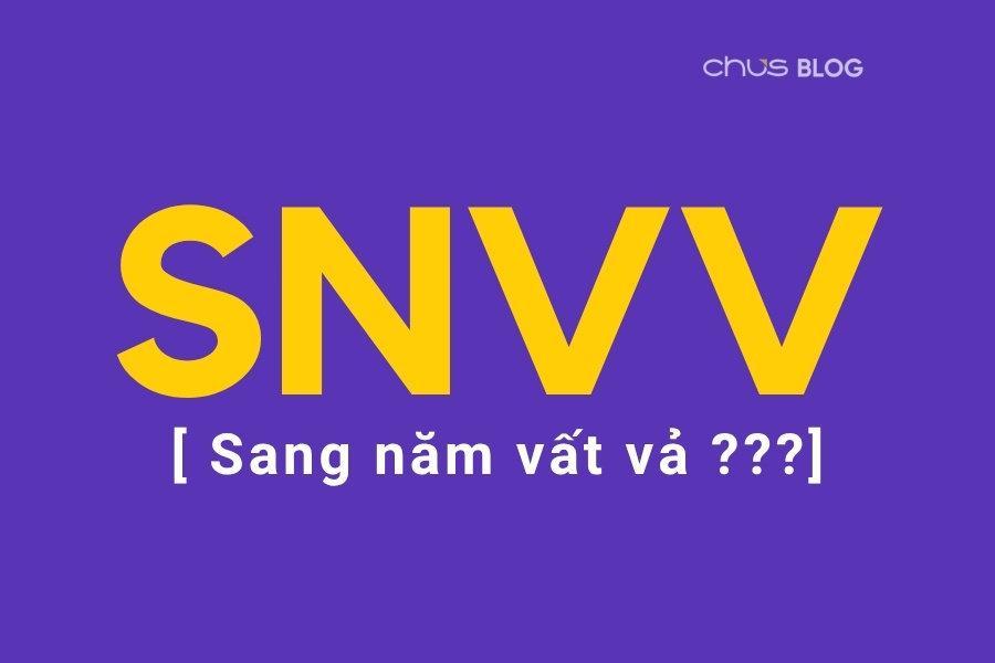 Discovering what SNVV means in Vietnamese social media culture