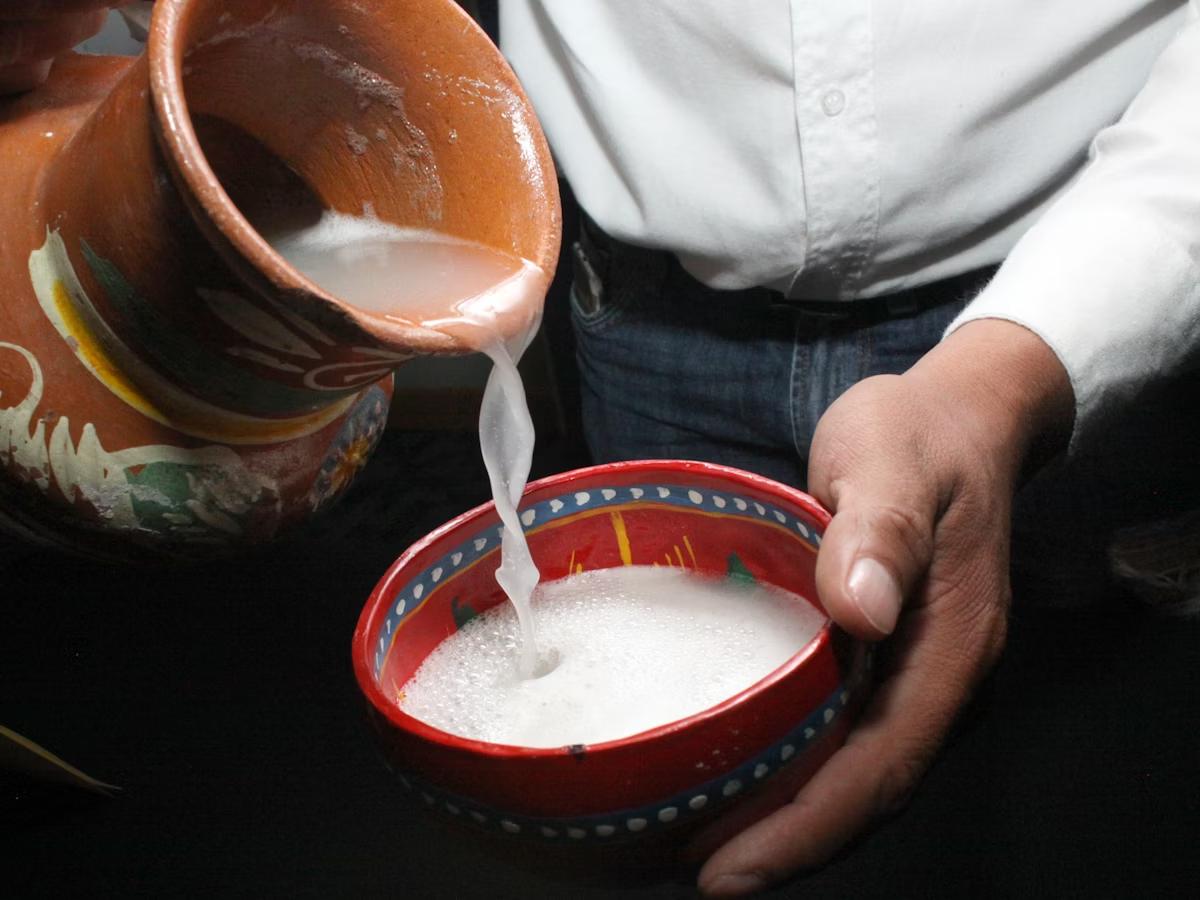 nước uống lên men Pulque 