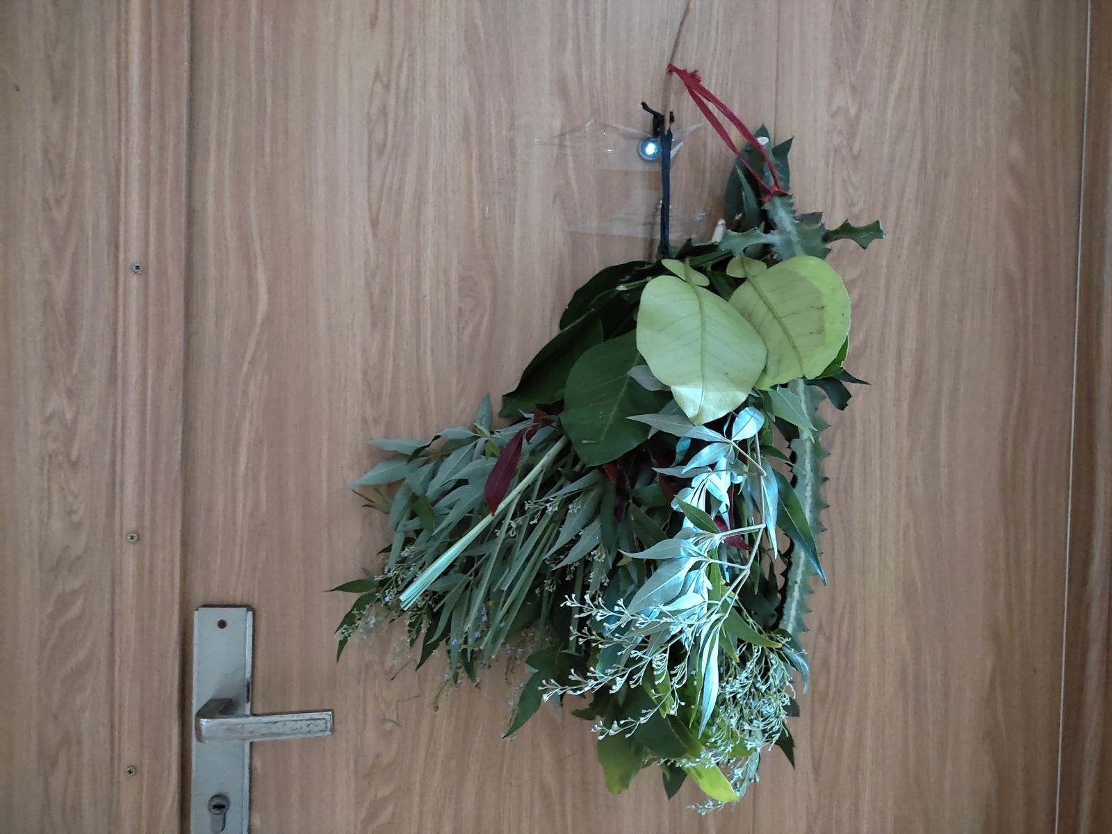 Hanging Evil-Dispelling Plants
