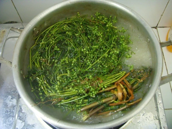 Fragrant leaf bathing represents one of Doan Ngo's most important purification rituals.