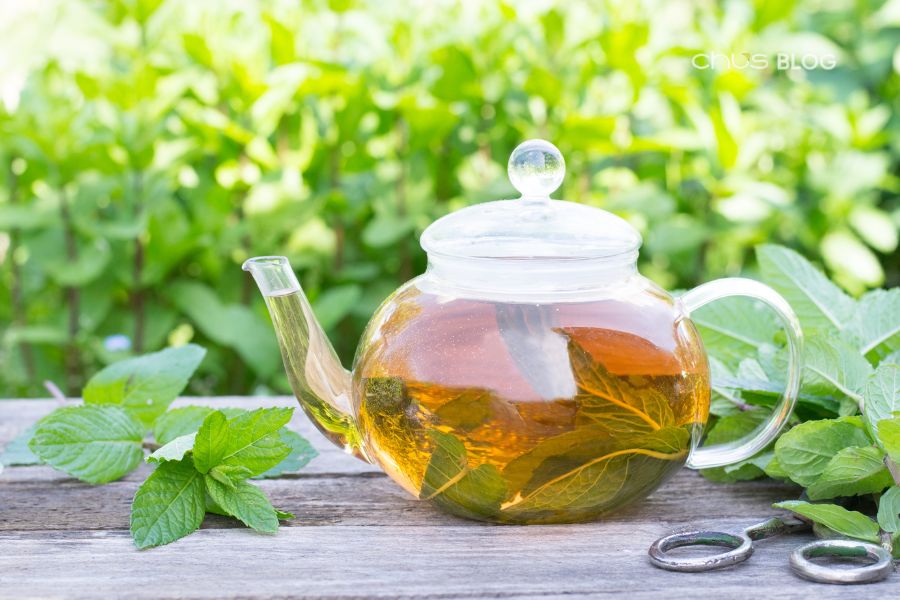 Cool peppermint flavor - a solution to 'cool down' an overloaded mind after a stressful day of exam review