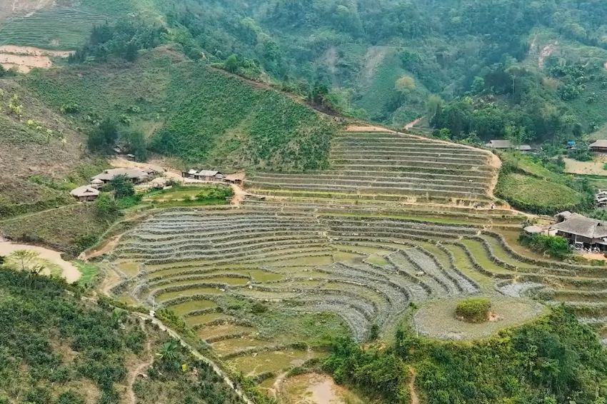 Ban Lien's terraced fields appearing beautifully under sunlight (Gia Dinh Haha)