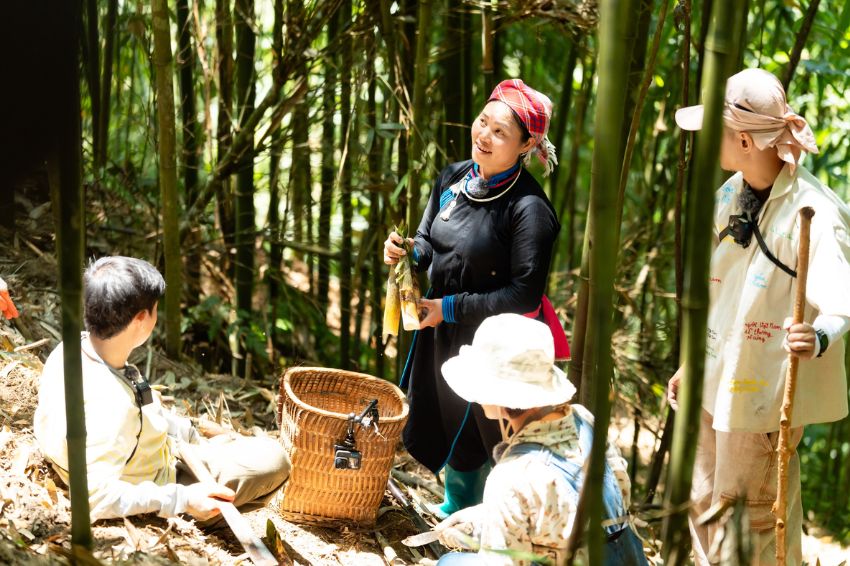 The Gia Dinh Haha artist cast experiencing forest bamboo shoot harvesting at Ban Lien (Gia Dinh Haha)