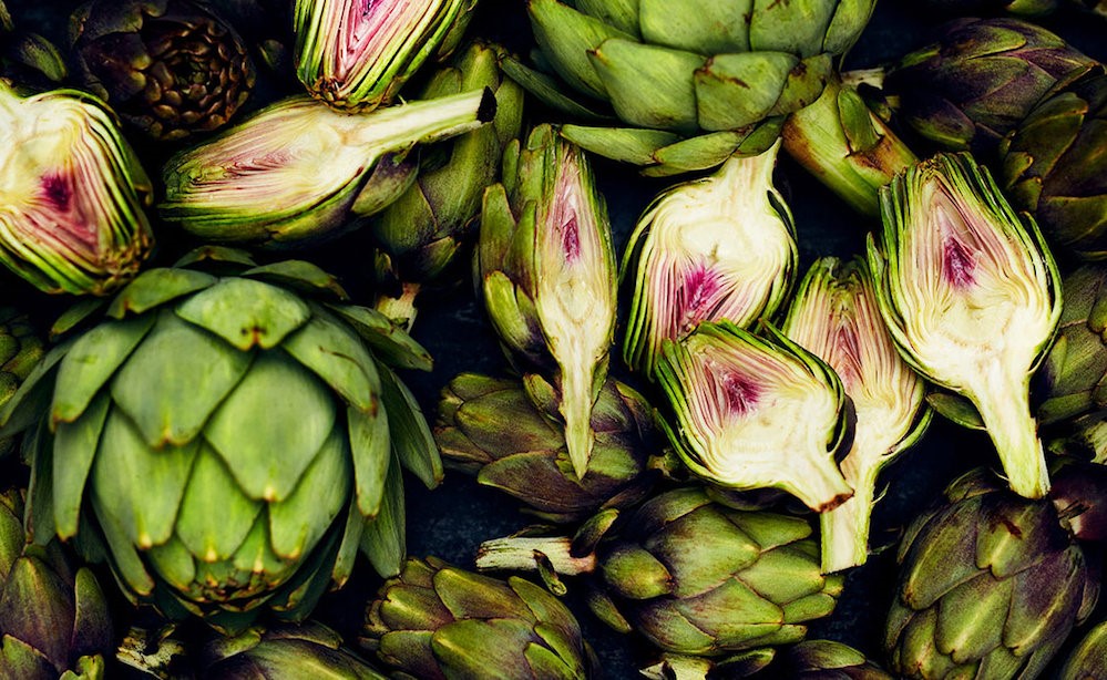 Atiso, trà atiso, artichoke, artichoke tea, công dụng trà atiso