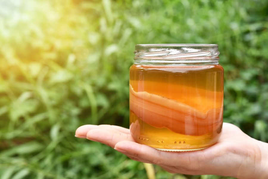 Kombucha là thức uống lên men có lợi cho hệ tiêu hóa