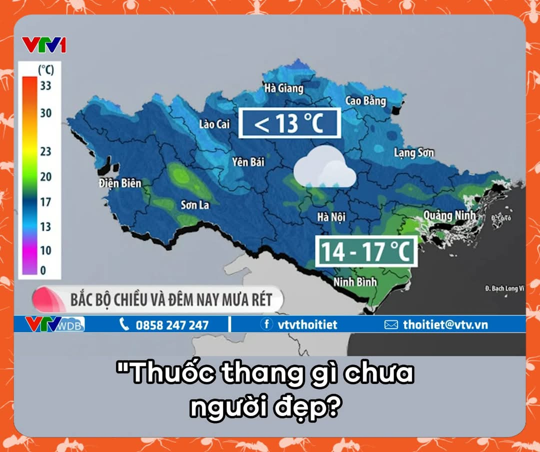 thuốc thang gì chưa người đẹp