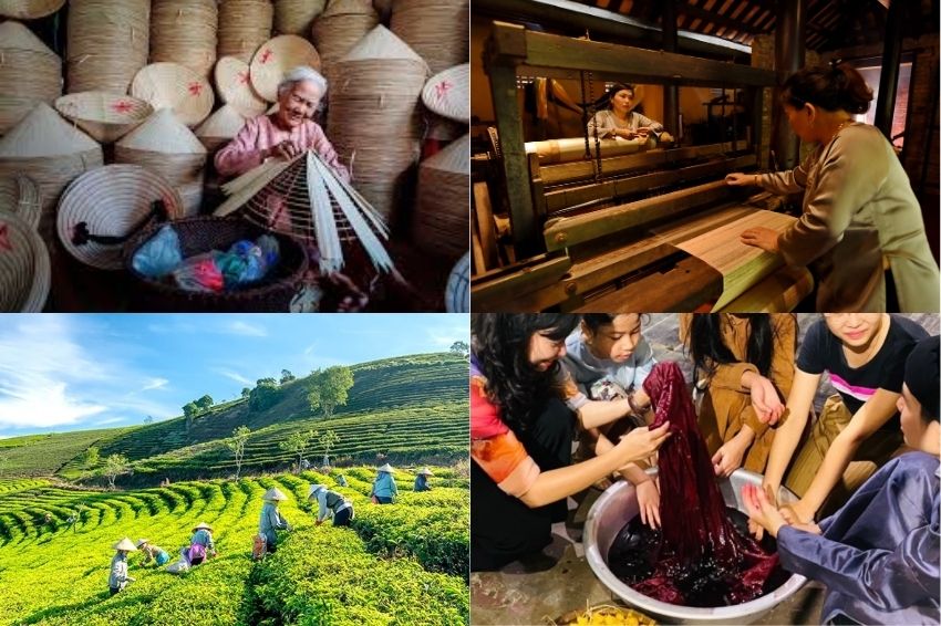 Ảnh 03. Mỗi sản phẩm là một nỗ lực dài hạn để tạo sự chăm chút