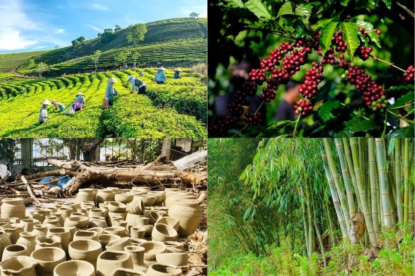 Ảnh 02. Việt Nam được thiên nhiên ưu ái với nguồn nguyên liệu phong phú từ khắp địa phương