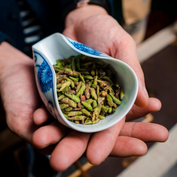 Trà Shan Tuyết cổ thụ, Snowshan ancient tea, đặc sản Việt Nam, Vietnamese specialties