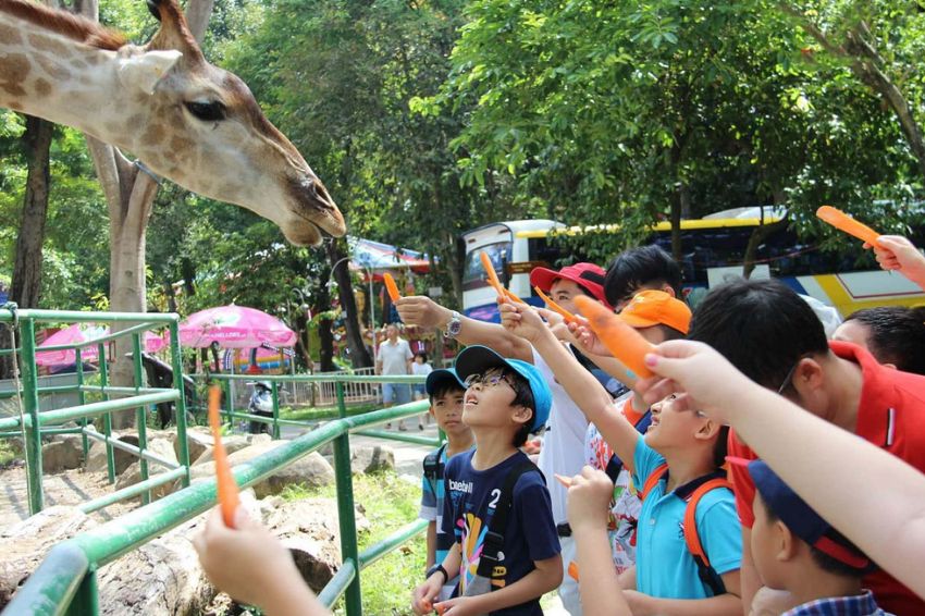 Local zoos and botanical gardens are excellent spaces for children to visit and learn