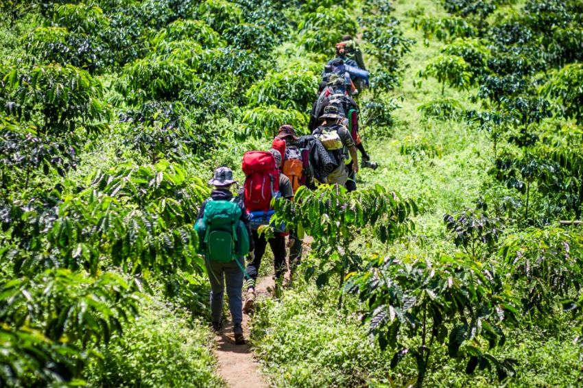 Stay safe and cool while hiking with these essential summer outdoor items