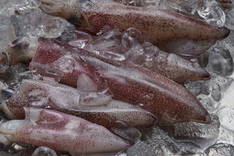 Black squid - avoided for "unlucky" color and difficult digestion
