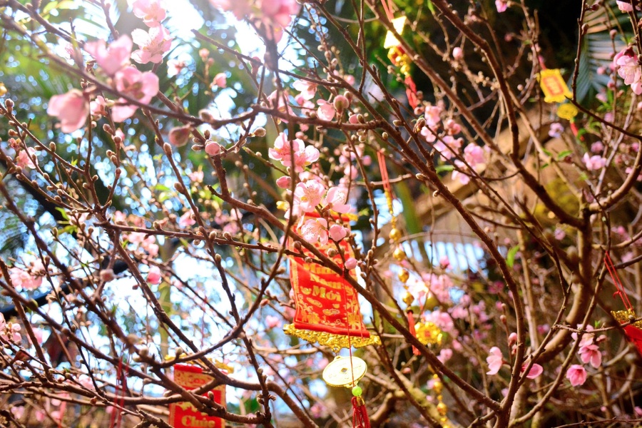 Pháo hoa đêm giao thừa - Màn pháo hoa chào đón năm mới tràn đầy hy vọng