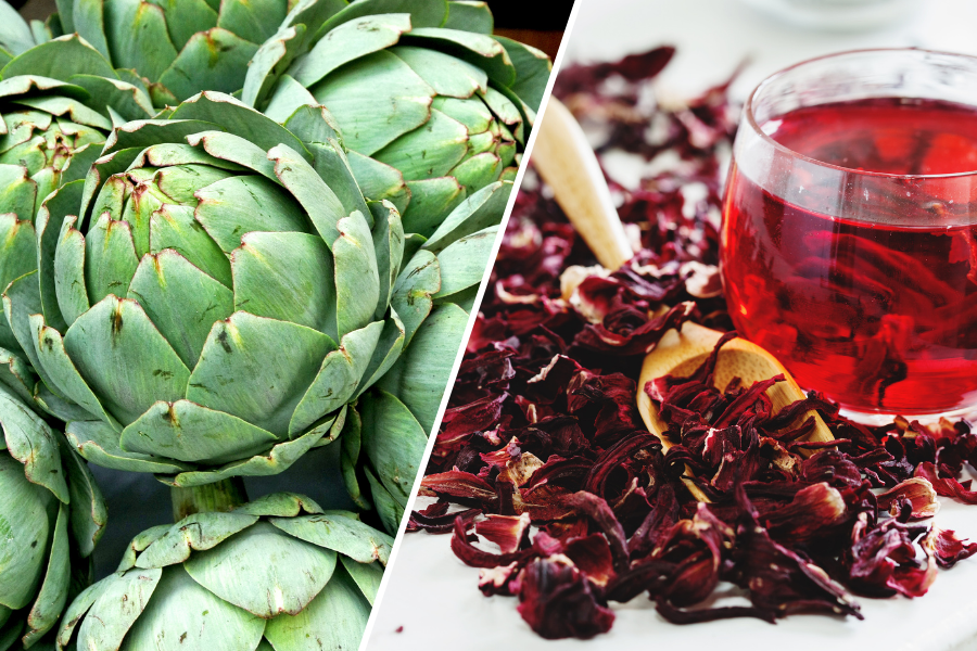 Green Artichokes Vs Red Artichokes Unveiling The Contrasts F ATISO VA ATISO DO, TRA ATISO, TRA HOA BUP GIAM